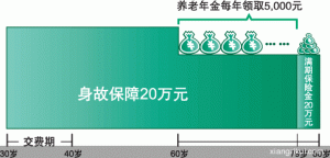 （图）中国人寿国寿鸿寿年金保险