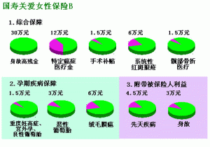 （图）中国人寿关爱生命女性疾病保险(B)