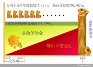 （图）中国人寿福禄双喜两全保险
