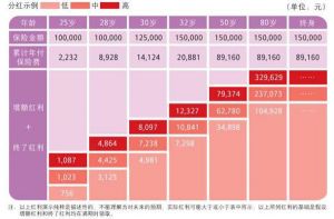 （图）中国人寿高照终身寿险