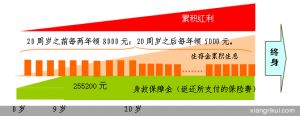 （图）太平洋人寿鸿运人生两全保险