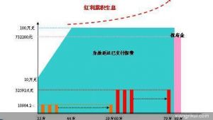 （图）太平洋人寿鸿利年年年金保险