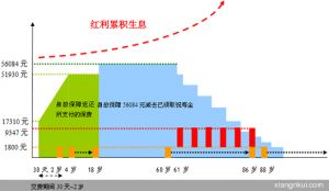 （图）太平洋人寿鸿福人生两全保险