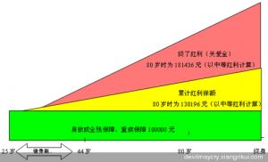 （图）太平洋人寿小康之家•岁岁登高终身寿险